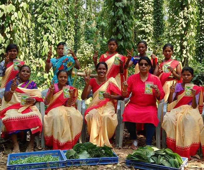 bastar-tribal-women-cultivating-tea